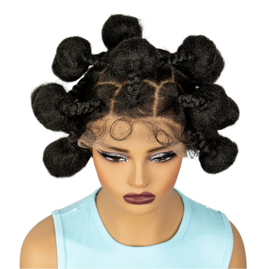 Bun Braided Wig | Full Lace | Baby Hair | Kanekalon Hair | African Braids | Black Women