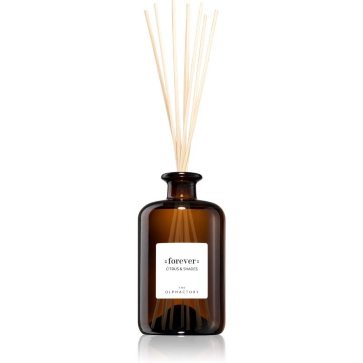 The Olphactory, Forever Citrus & Shades, Fragrance Sticks, Grapefruit, Aroma Reed Diffuser, 500 ml