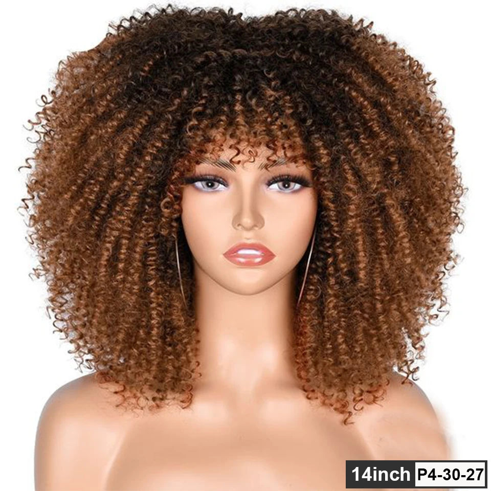 250% Density Afro Kinky Curly Wig with Bangs | Brown Glueless Human Hair Luxegan
