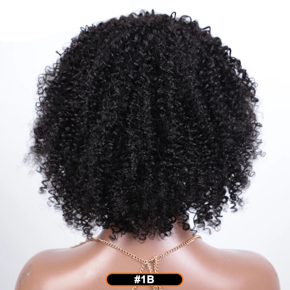 Afro Kinky Curly Black & Ombre T1B/30 Human Hair Wig | Brazilian Remy Machine Made Glueless Wigs for Women (Affordable) Luxegan