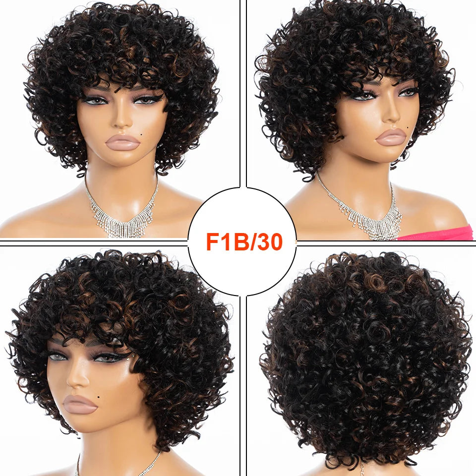 Rebecca 10 Inch Ombre 1B/#4 Curly Bob Wig | Water Wave Brazilian Remy Human Hair Luxegan