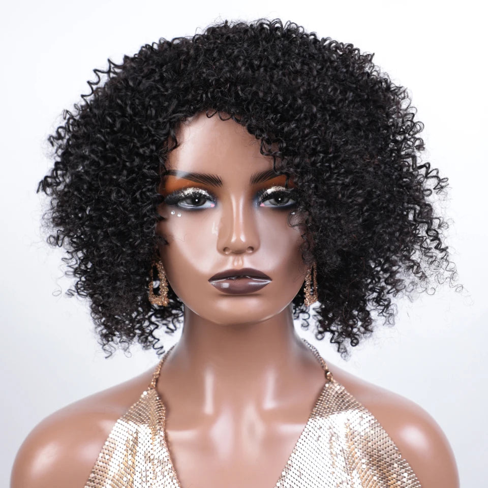 Afro Kinky Curly Black & Ombre T1B/30 Human Hair Wig | Brazilian Remy Machine Made Glueless Wigs for Women (Affordable) Luxegan