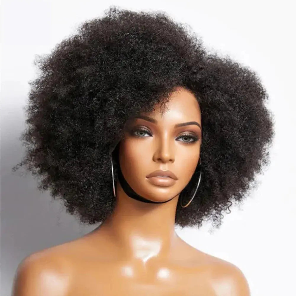 Afro Kinky Curly Lace Front Wig | Brazilian Remy Hair | HD Lace | Natural Hairline | 250% Density Luxegan
