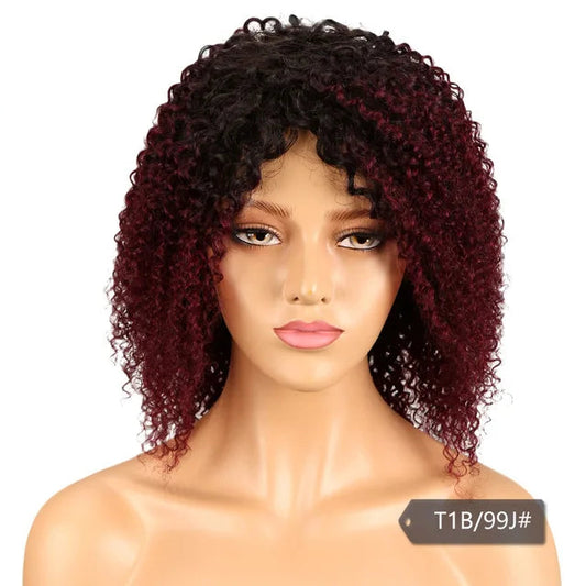 Jerry Curl & Afro Kinky Curly Human Hair Wig - 100% Brazilian Remy Short Glueless Lace Front Wig - T1B/4/27 & T1B/99J Ombre Highlight Curly Wig for Women (Fast Shipping) Luxegan