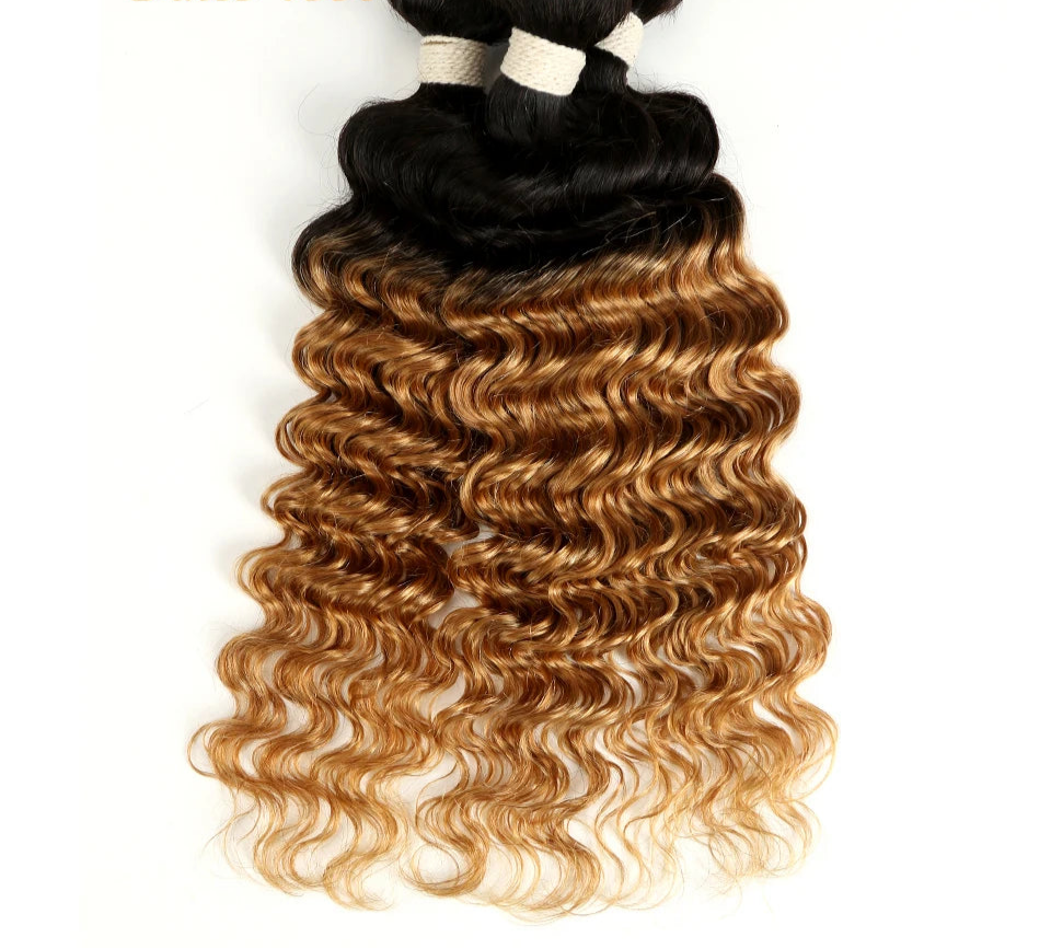 Ombre Brazilian Deep Wave Human Hair Bundles | Remy 2 Tone Color T1B/27#, T1B/30#, T1B/99J# (1, 3, or 4 Pcs) Luxegan