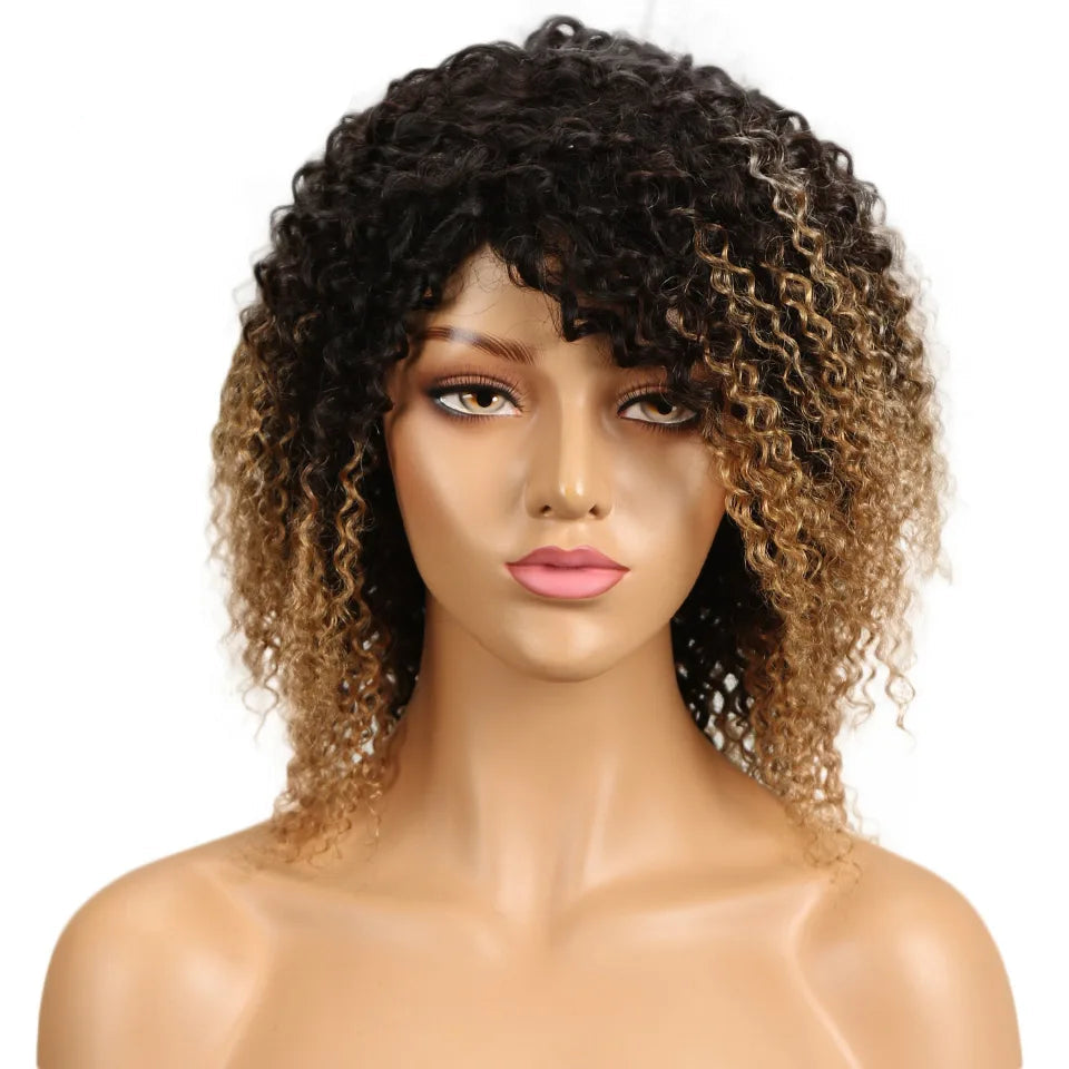 Jerry Curl & Afro Kinky Curly Human Hair Wig - 100% Brazilian Remy Short Glueless Lace Front Wig - T1B/4/27 & T1B/99J Ombre Highlight Curly Wig for Women (Fast Shipping) Luxegan
