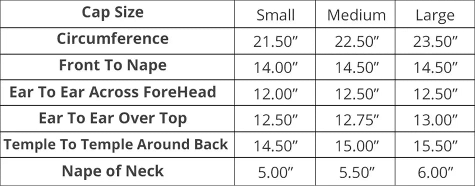 Luxurious Glueless Long Pre-Plucked Straight Brazilian Remy Hair Lace Front Wig | Black | Wear and Go Luxegan