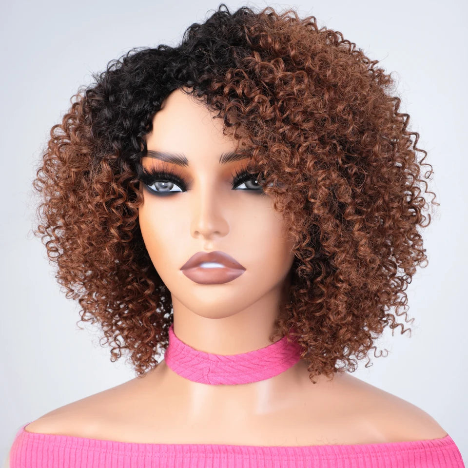 Afro Kinky Curly Black & Ombre T1B/30 Human Hair Wig | Brazilian Remy Machine Made Glueless Wigs for Women (Affordable) Luxegan