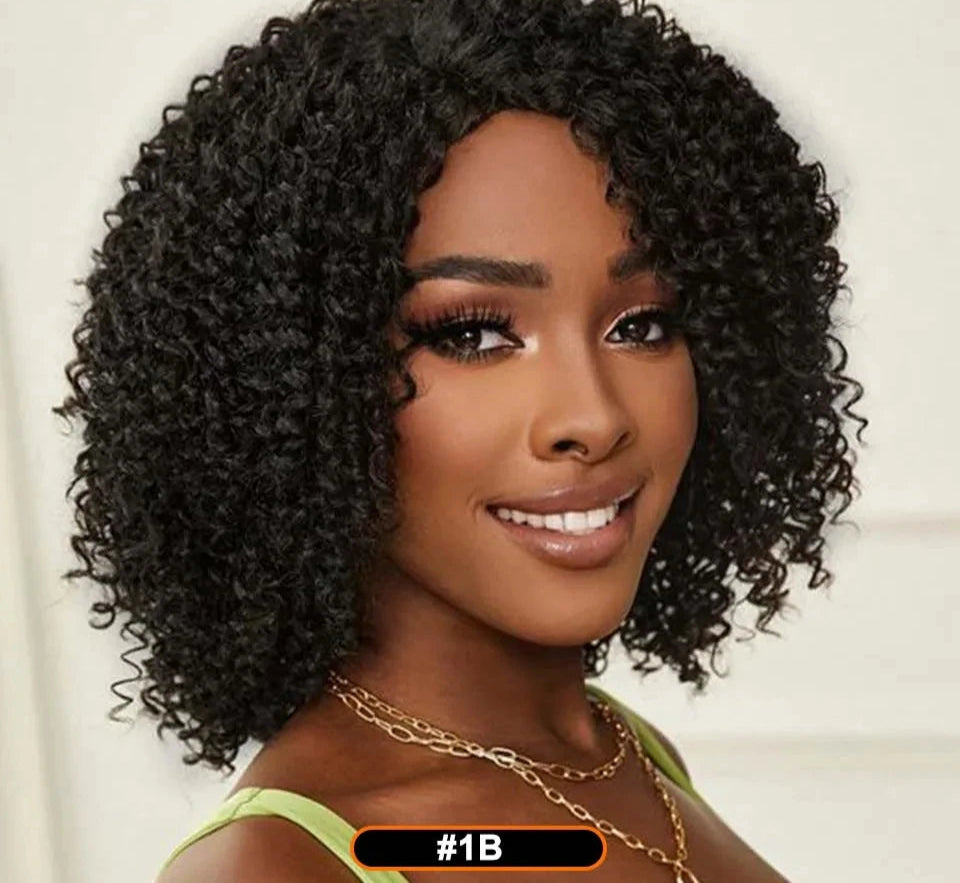 Afro Kinky Curly Black & Ombre T1B/30 Human Hair Wig | Brazilian Remy Machine Made Glueless Wigs for Women (Affordable) Luxegan