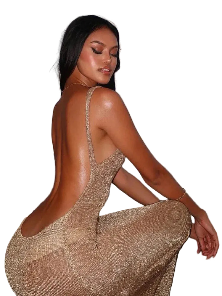 Women's Stunning Solid Summer Long Dress | Elegant Thin Mesh Sheer Bodycon Gown | Sexy Sleeveless Tank Backless Dress | Premium Tatting Non-Stretch Sheath Vestido Model K24D48425 Luxegan