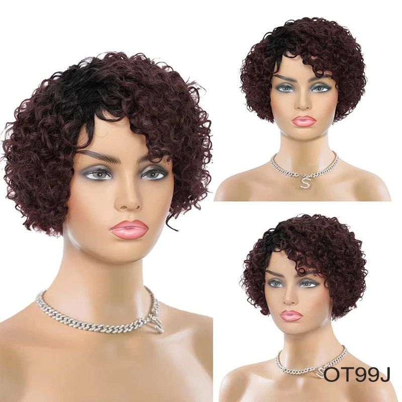 8-Inch Bouncy Curly Pixie Cut Wig | Side Part Brazilian Human Hair Luxegan