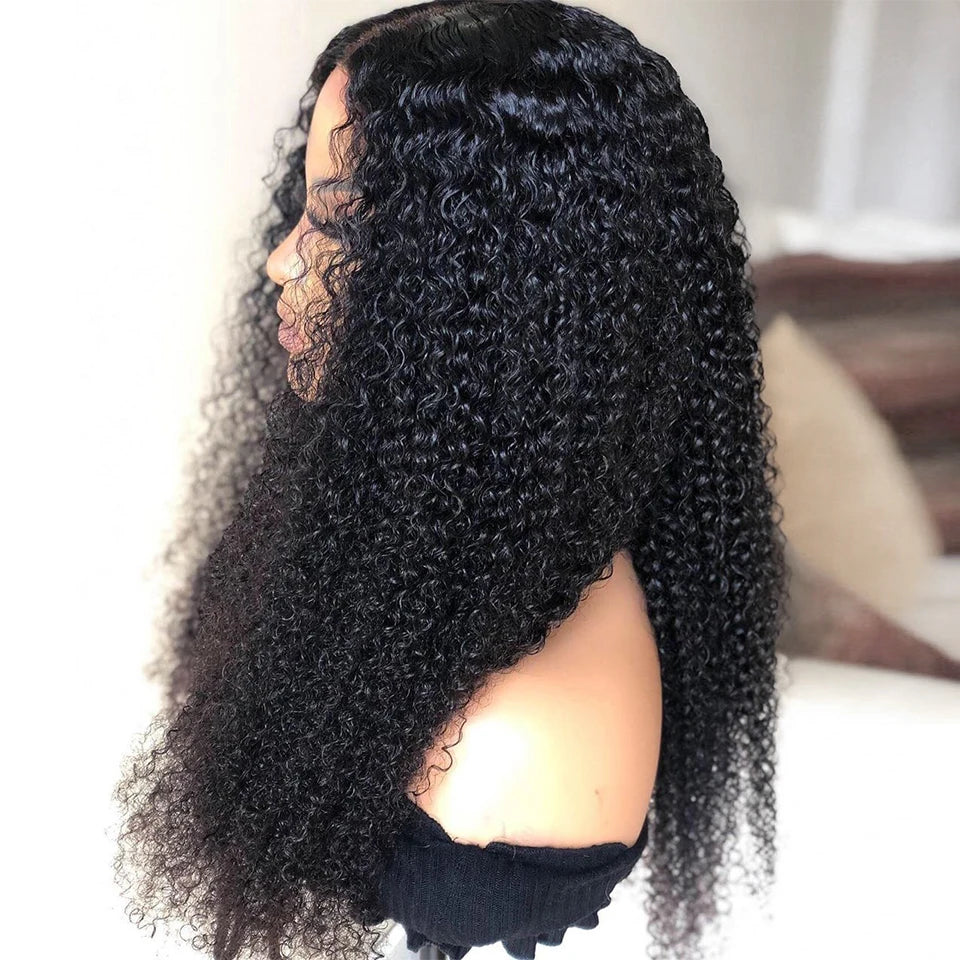 26" Black Long Kinky Curly Machine Wig | 180% Density | Heat-Friendly Daily Use Wig Luxegan