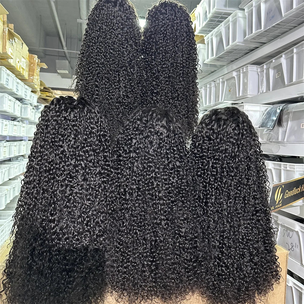 3B 3C Burmese Curly HD Lace Frontal Wig | Brazilian Pixie Curls Luxegan