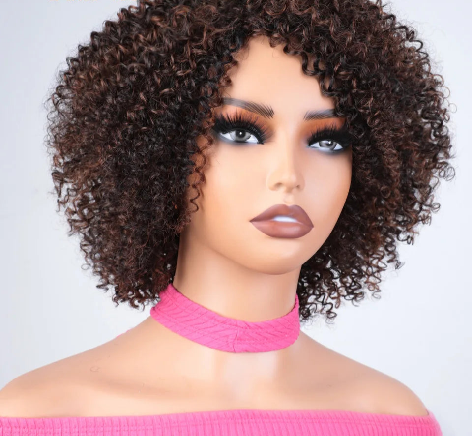 Afro Kinky Curly Black & Ombre T1B/30 Human Hair Wig | Brazilian Remy Machine Made Glueless Wigs for Women (Affordable) Luxegan