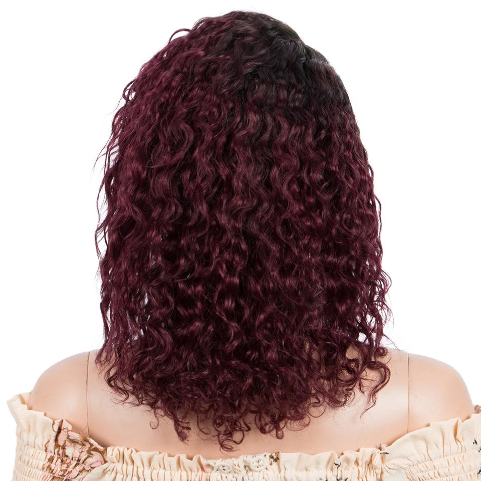Sleek Curly Human Hair Wig | Brown Highlights | 13x1 T Part Lace Wig | Brazilian Remy Hair | Water Wave