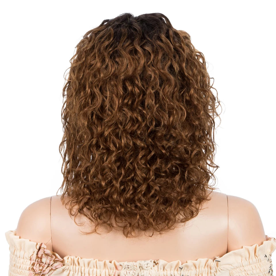 Sleek Curly Human Hair Wig | Brown Highlights | 13x1 T Part Lace Wig | Brazilian Remy Hair | Water Wave