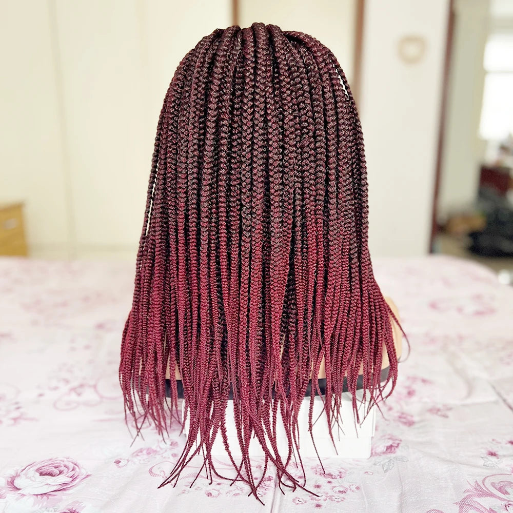20-30" Braided Lace Front Wig | Ombre Crochet Box Braids | Black Women's Synthetic Hair