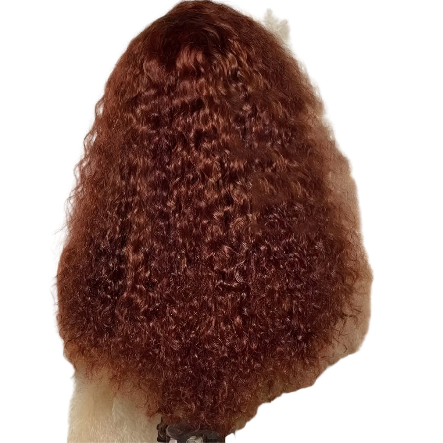 Honey Blonde Ombre Burmese Curly HD Lace Front Wig | 250% Density Human Hair | Ready-to-Wear Luxegan
