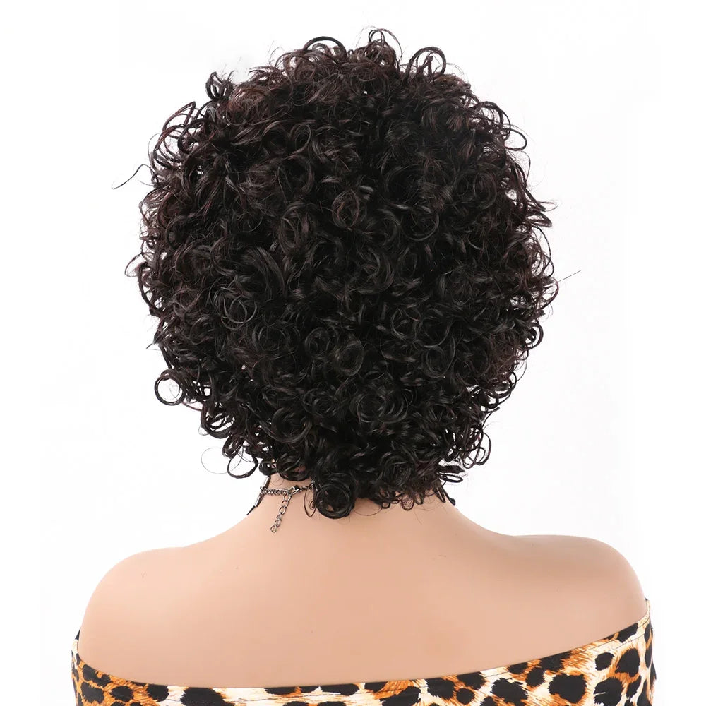 Short Curly Pixie Cut Wig | Water Wave Bob Wig | 13x1 Transparent Lace Front Human Hair Wig