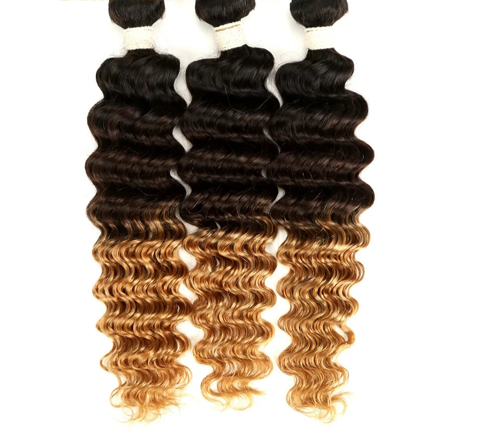 Ombre Brazilian Deep Wave Human Hair Bundles | Remy 2 Tone Color T1B/27#, T1B/30#, T1B/99J# (1, 3, or 4 Pcs) Luxegan
