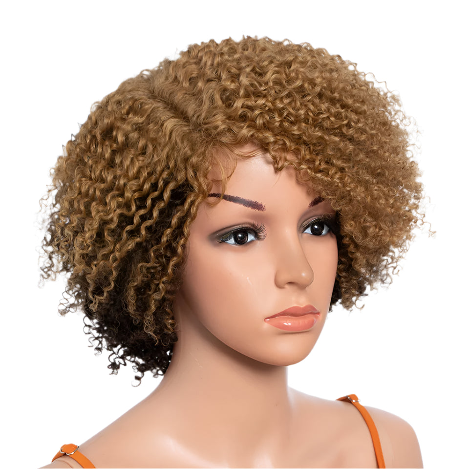 Ombre Honey 4/27 Afro Kinky Curly Bob Wig | Short Human Hair Lace Wig with Baby Hair Luxegan
