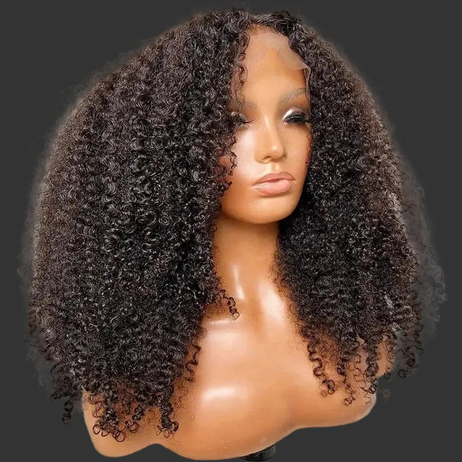 Afro Kinky Curly Lace Front Wig | 13x4 / 4x4 Transparent Lace Brazilian Remy Human Hair Luxegan