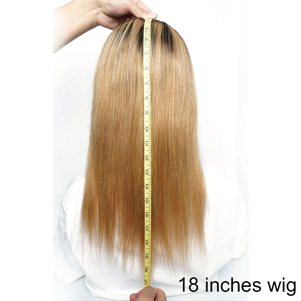 Ombre Honey Blonde & 1B/30 Straight 4x4 Lace Closure Wig | 150% Density Middle Part Remy Human Hair Luxegan