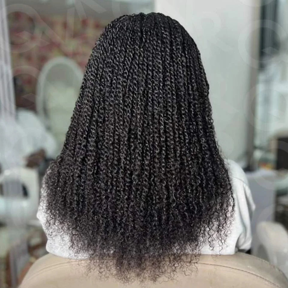 TOP Selling Afro Kinky Bulk Braiding Hair Extensions | Rebecca Lightweight Natural & Colored Brazilian Remy Hair (Long-Lasting) Luxegan