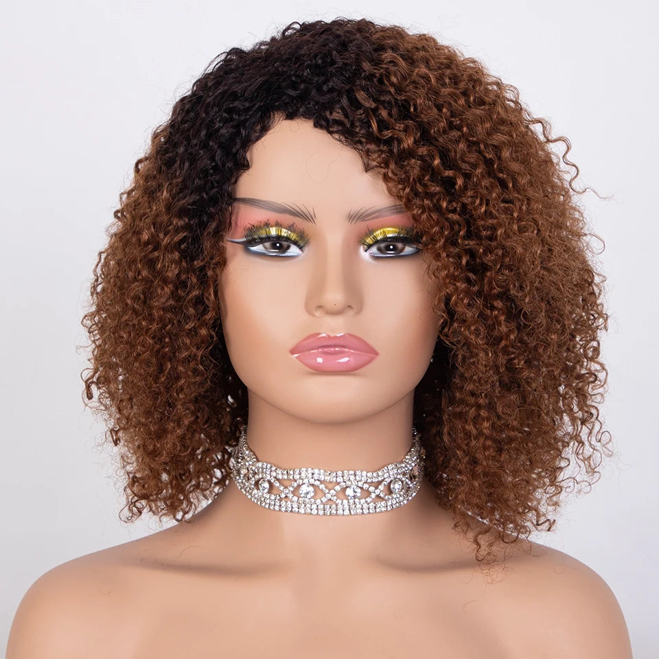 Sleek Ombre Highlight Kinky Curly Human Hair Wig | Peruvian Curly Bob Luxegan