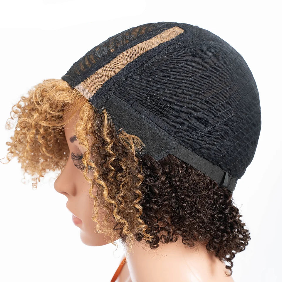 Ombre Honey 4/27 Afro Kinky Curly Bob Wig | Short Human Hair Lace Wig with Baby Hair Luxegan