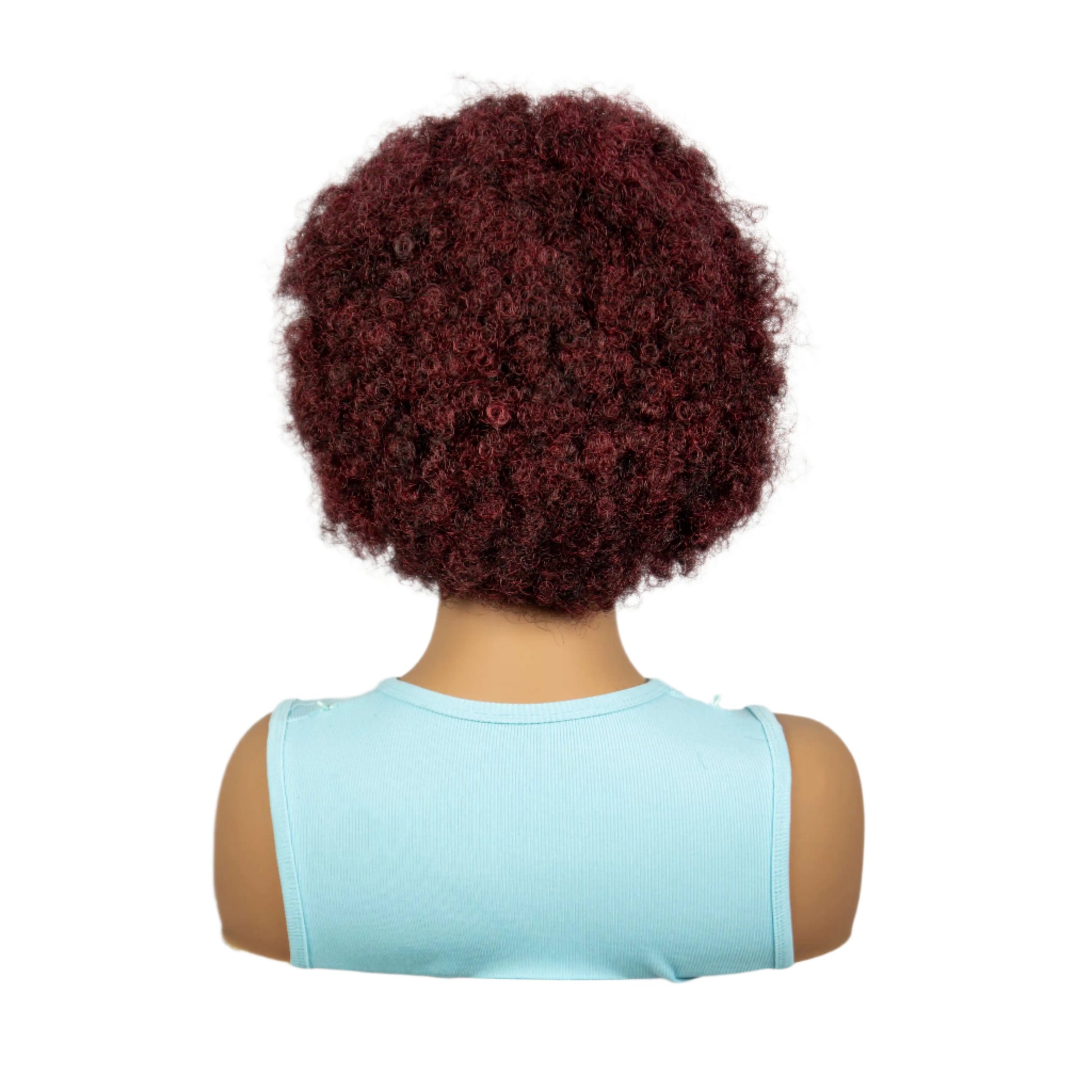 Burgundy Afro Curly Braids Bob Wig | 13x6 Lace Front | Baby Hair