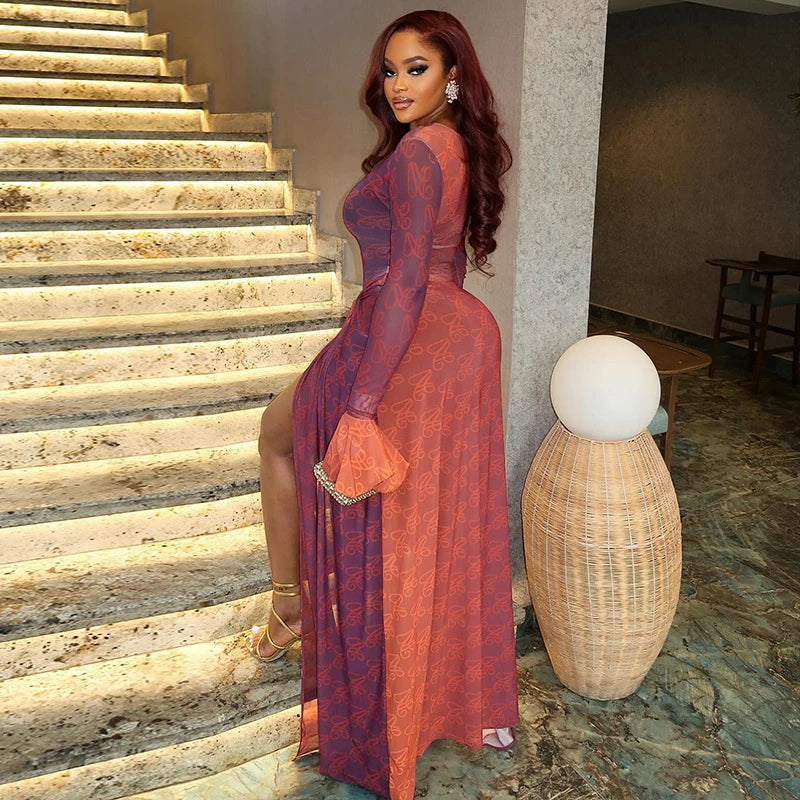 Vintage Printed Sexy See Through Mesh Women Dress Long Sleeve O Neck Slim Waist Big Hem Long Maxi Dress