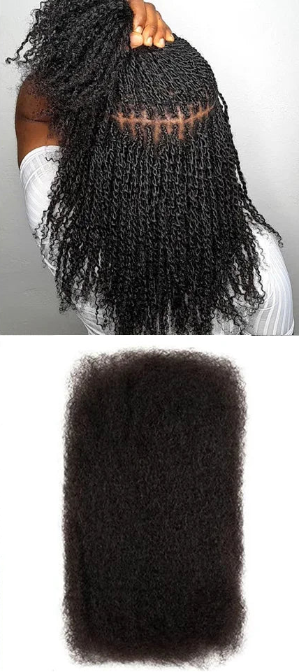Rebecca Afro Kinky Bulk Human Hair for Braiding | Remy Virgin Brazilian Extensions (Multi-Color) Luxegan