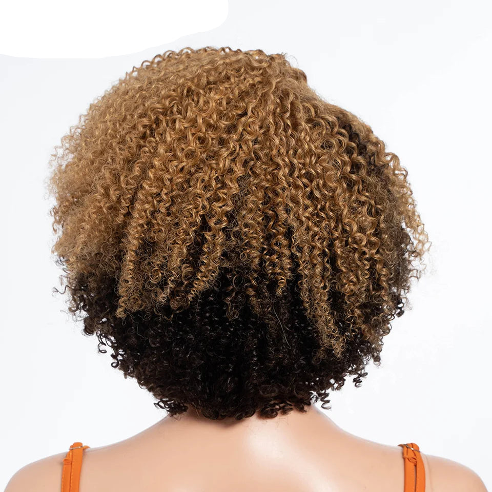 Ombre Honey 4/27 Afro Kinky Curly Bob Wig | Short Human Hair Lace Wig with Baby Hair Luxegan