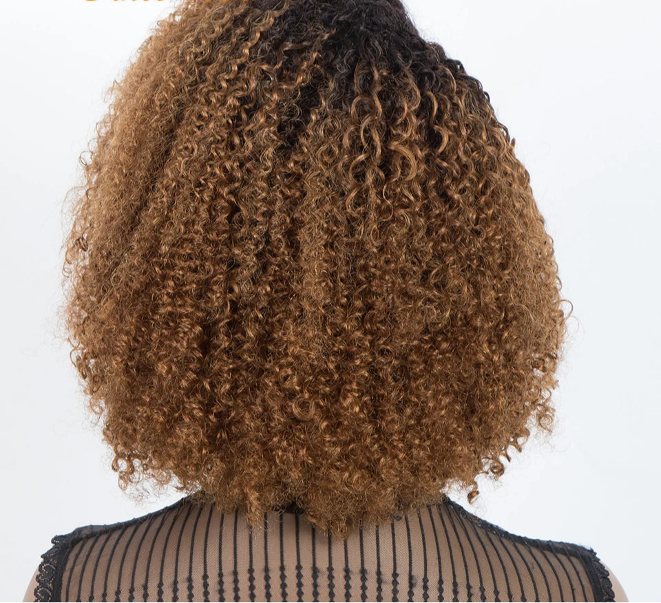 Ombre T1B/30 Afro Kinky Curly Lace Front Bob Wig | Pre-Plucked Transparent Lace Brazilian Deep Curly Human Hair Luxegan