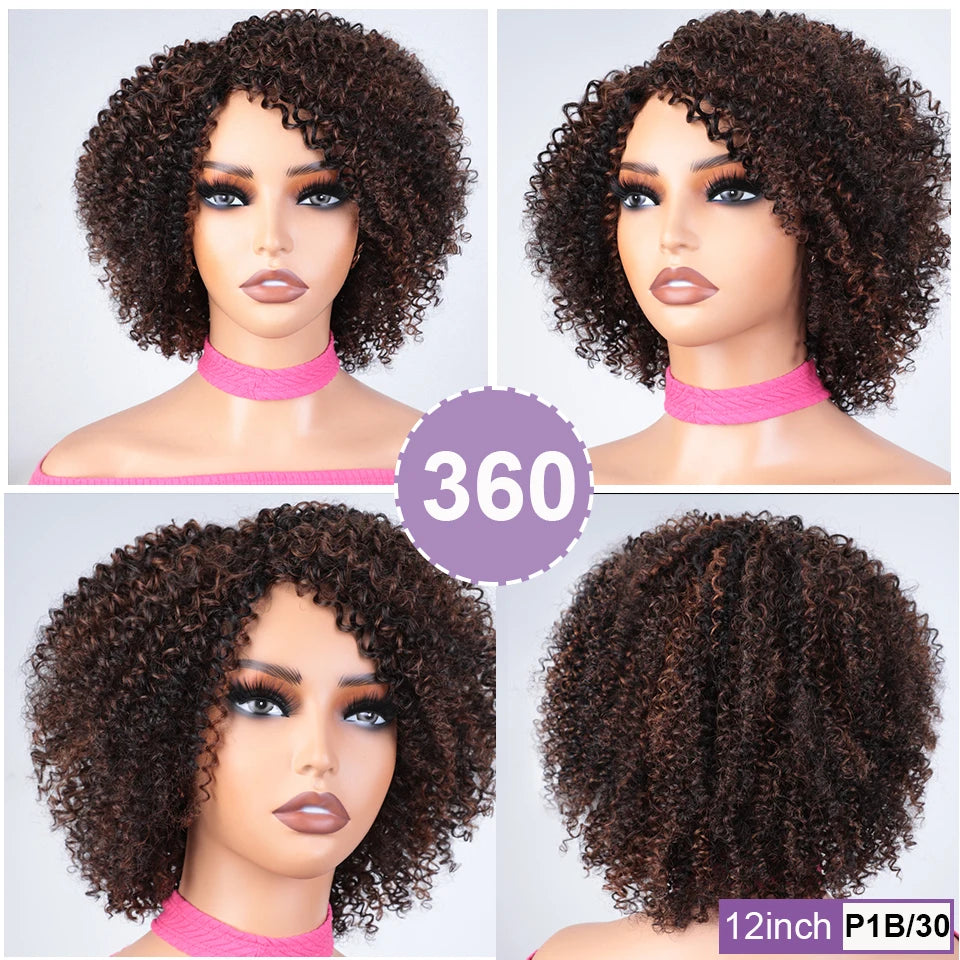 Afro Kinky Curly Black & Ombre T1B/30 Human Hair Wig | Brazilian Remy Machine Made Glueless Wigs for Women (Affordable) Luxegan