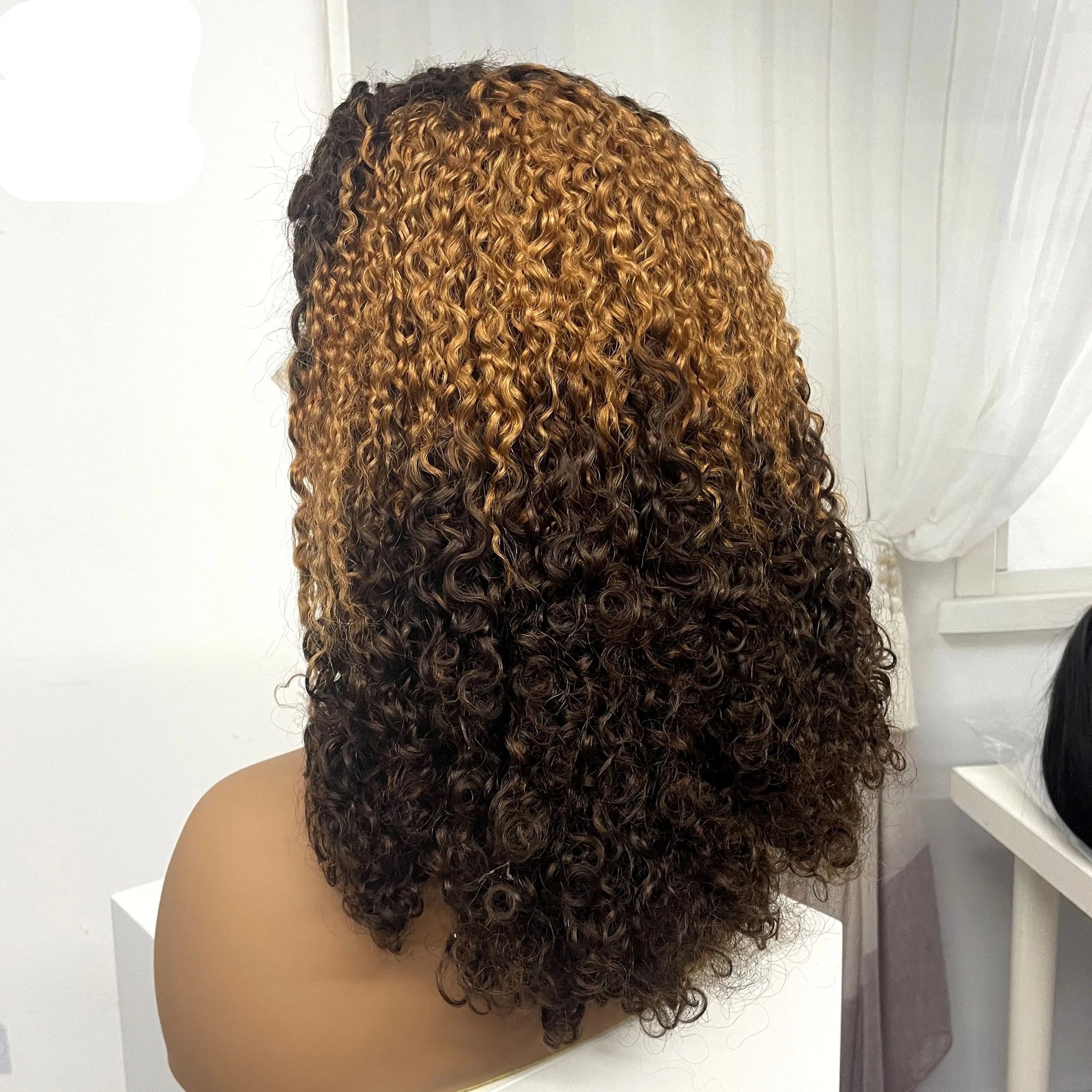 350% Density Pixie Curly HD Lace Frontal Wig | Bouncy Burmese Human Hair Luxegan