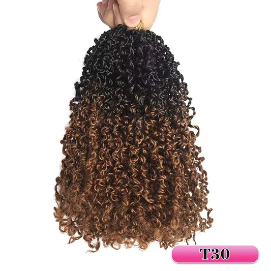 Pre-looped Yanky Twist Crochet Hair | 8/10/12 Inch Passion Twist Braids Luxegan