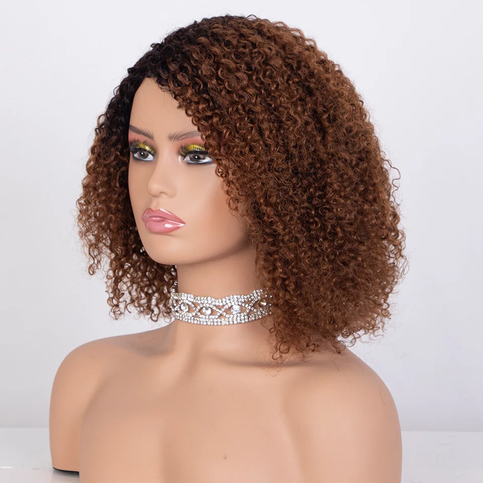 Ombre Highlight Afro Kinky Curly Human Hair Bob Wig | Full Machine Made Peruvian Remy Luxegan