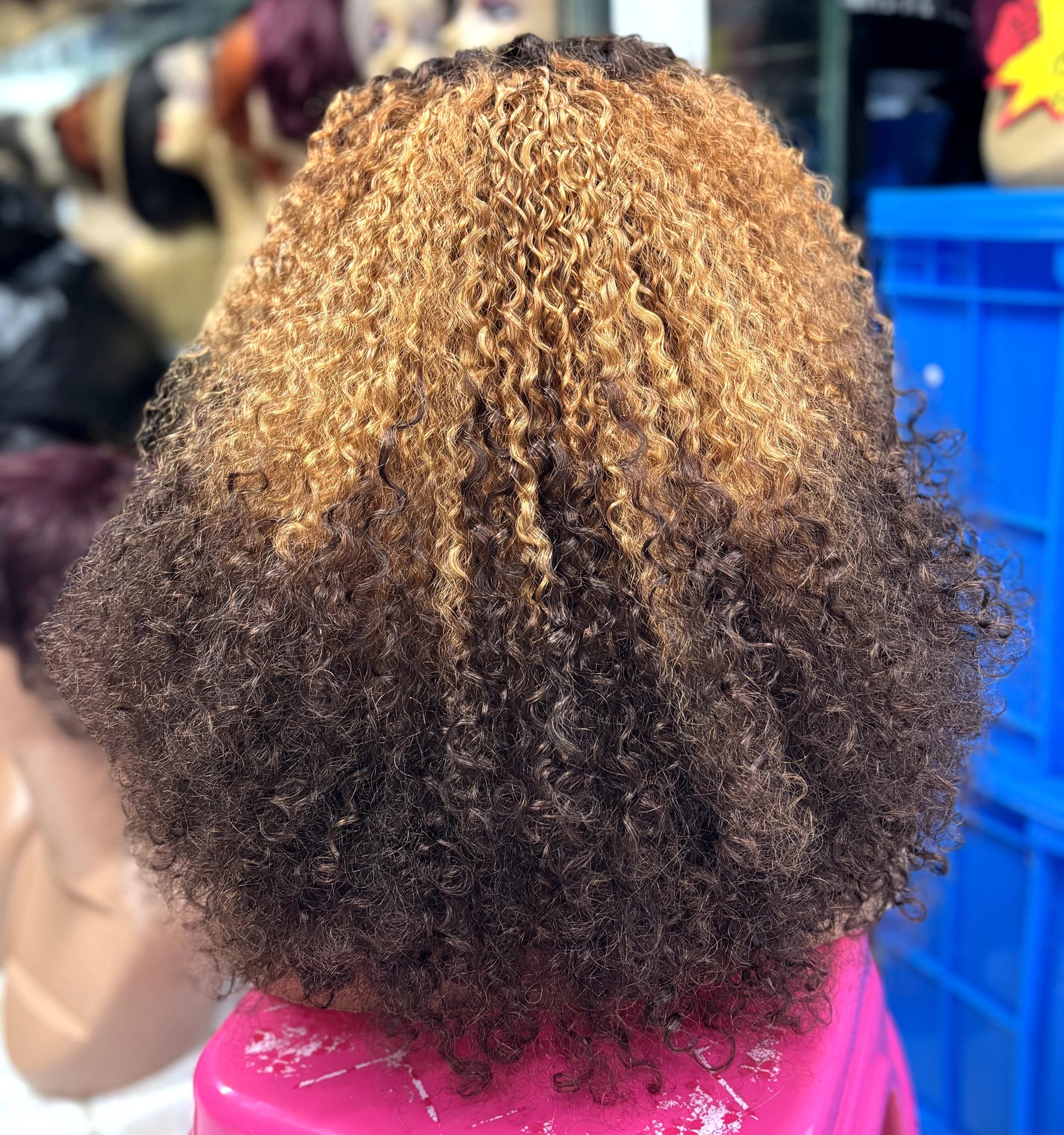 350% Density Pixie Curly HD Lace Frontal Wig | Bouncy Burmese Human Hair Luxegan