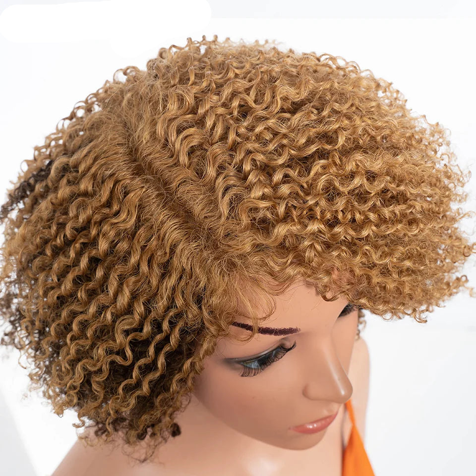 Ombre Honey 4/27 Afro Kinky Curly Bob Wig | Short Human Hair Lace Wig with Baby Hair Luxegan