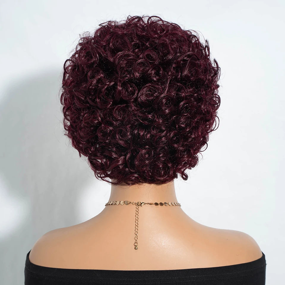 Sleek Short Pixie Afro Kinky Curly Wig with Bangs | Glueless Malaysian Human Hair Bob Luxegan