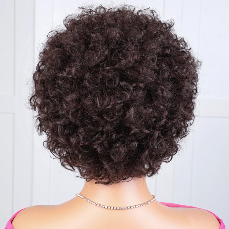 Malaysian Afro Kinky Curly Pixie Bob Wig with Bangs | Natural Brown & 99J Full Machine Made Remy Human Hair Luxegan