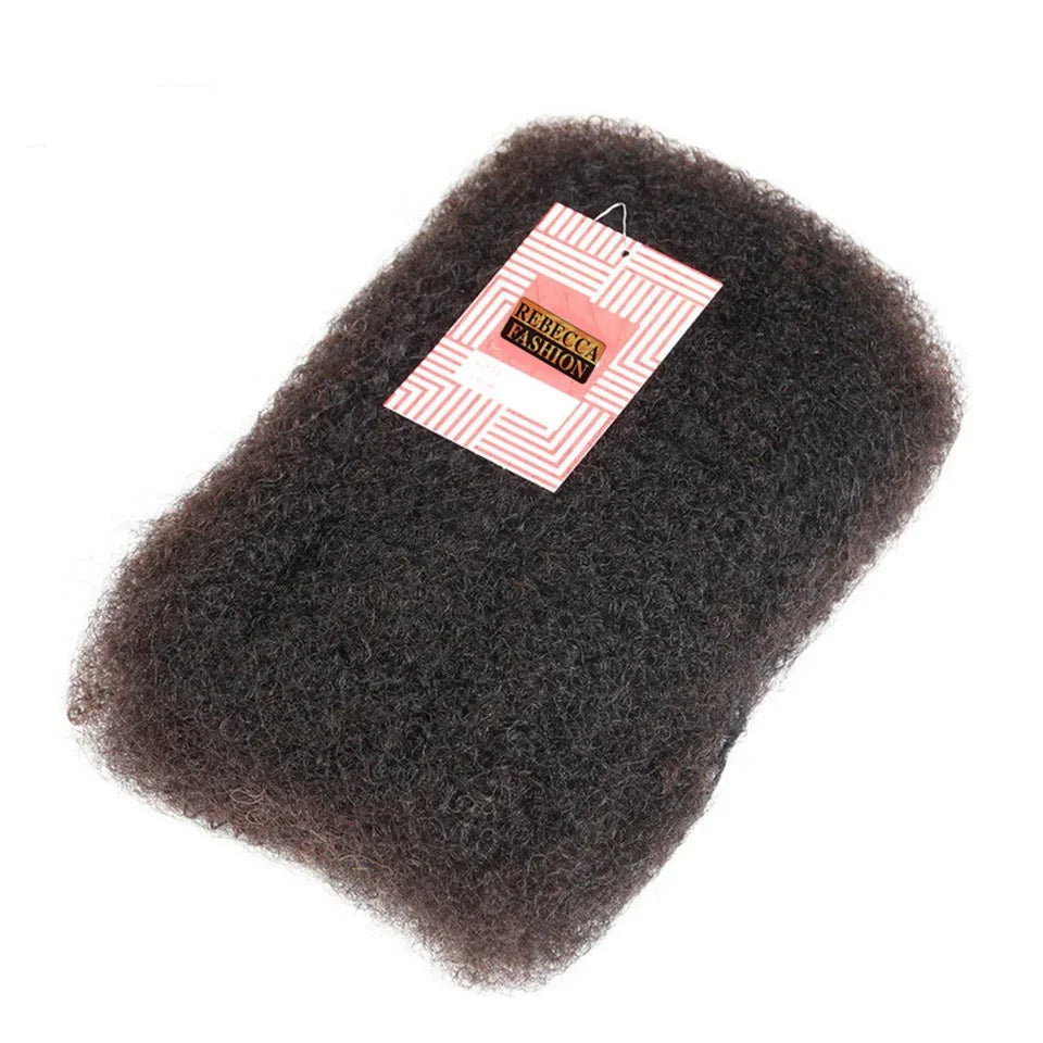 Rebecca Afro Kinky Bulk Human Hair for Braiding | Remy Virgin Brazilian Extensions (Multi-Color) Luxegan