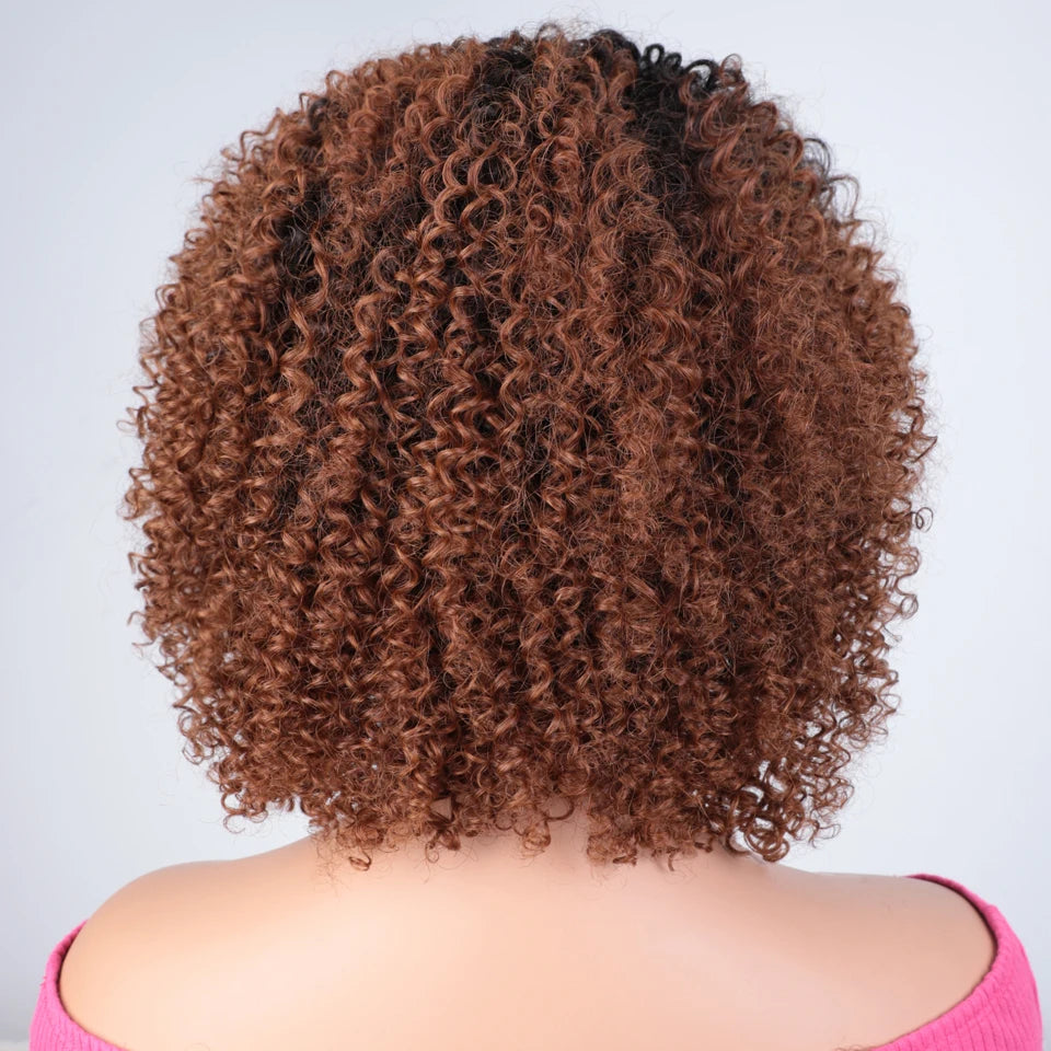 Afro Kinky Curly Black & Ombre T1B/30 Human Hair Wig | Brazilian Remy Machine Made Glueless Wigs for Women (Affordable) Luxegan