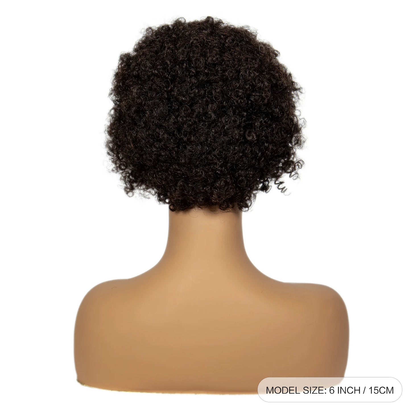 Natural Black Synthetic aBraided Wig | 13x4 Transparent Lace Front Short Afro Kinky Curly Braids Luxegan