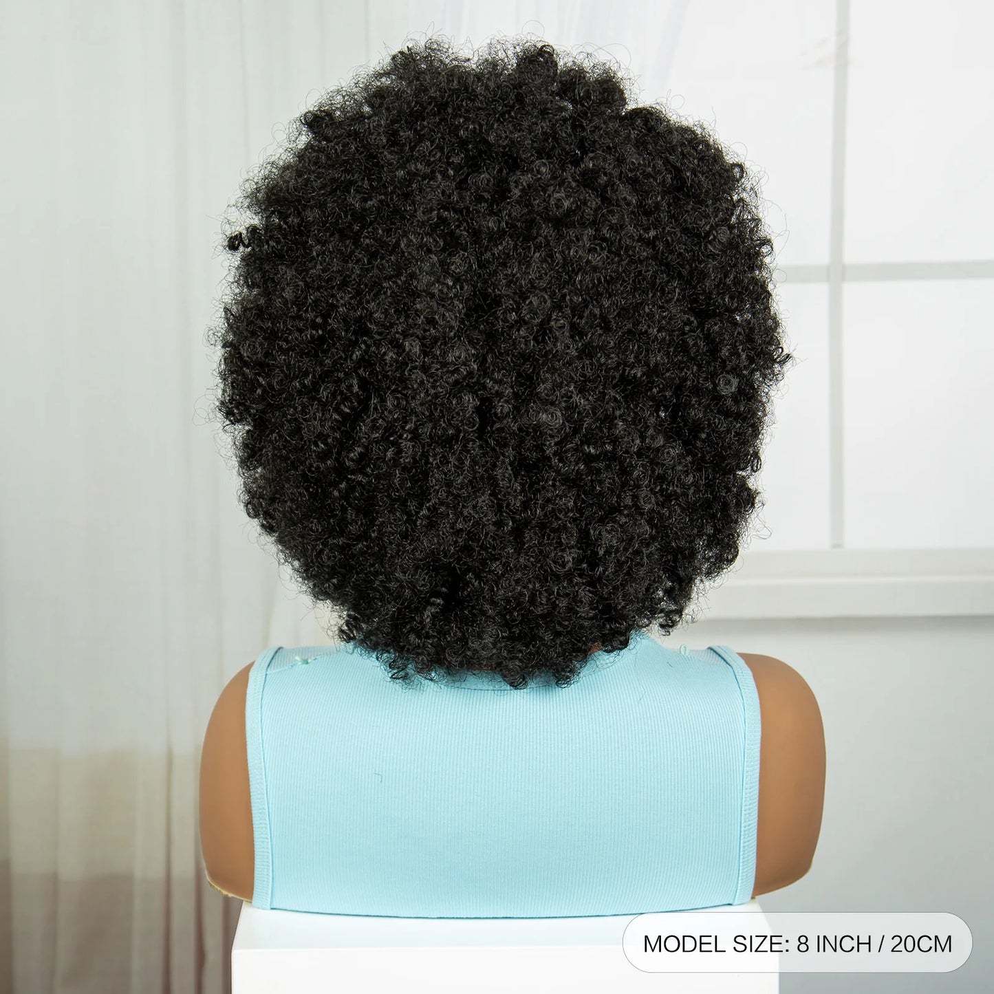 Short Afro Kinky Curly Cornrow Braids Wig | HD Full Lace | Baby Hair Luxegan