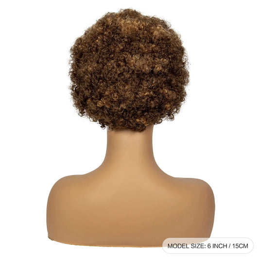 4-30 Color Synthetic Braided Wig | 13x4 Transparent Lace Front Short Afro Kinky Curly Knotless Braids Luxegan