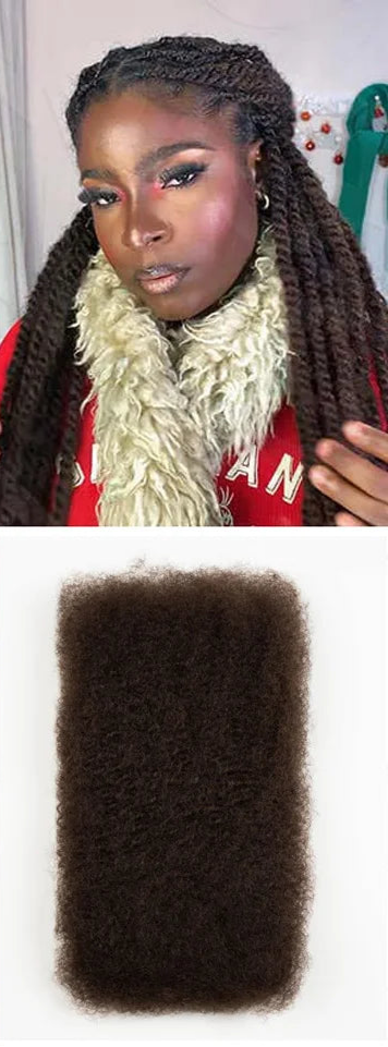 Rebecca Afro Kinky Bulk Human Hair for Braiding | Remy Virgin Brazilian Extensions (Multi-Color) Luxegan
