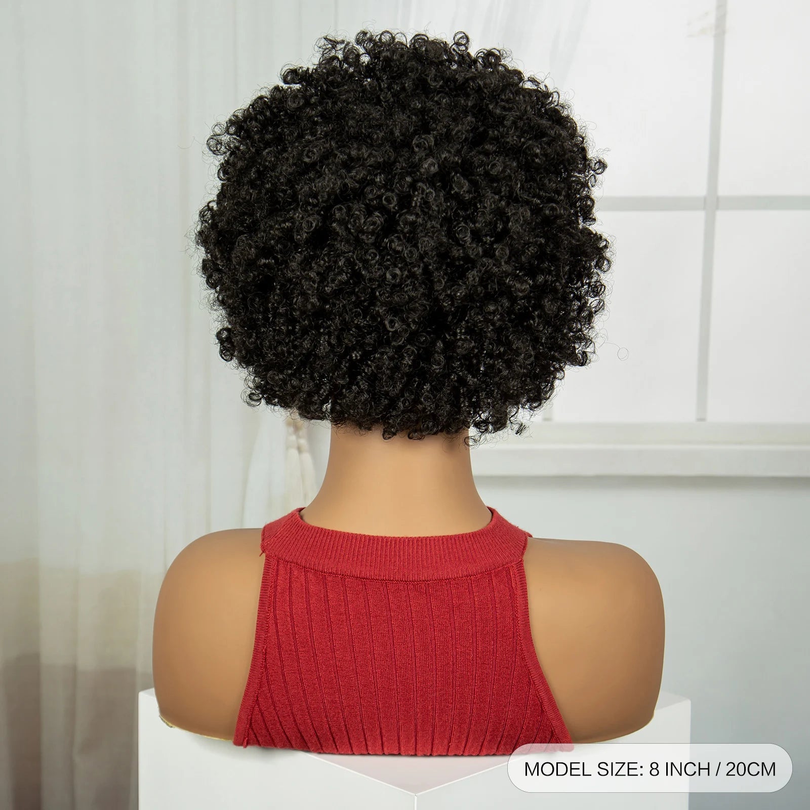 Natural Afro Kinky Curly Braids Bob Wig | Transparent Lace Front | Baby Hair Luxegan